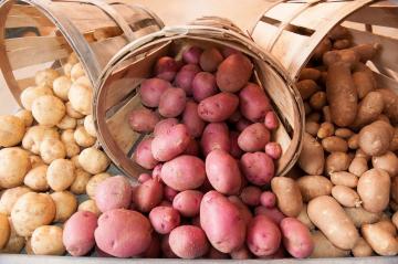 Anbefalinger til valg af kartofler: hvad skal man se efter?