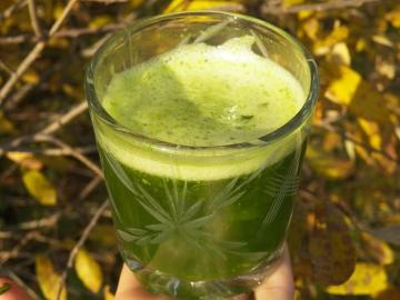 Medicinalest grøn cocktail fra Neumyvakina