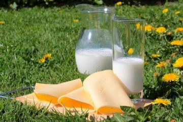 TOP 8 vigtigste myter om mælk