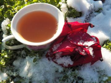 Te lavet af rosenblade