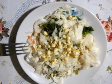 Salat probiotiske anvendelig til tarm