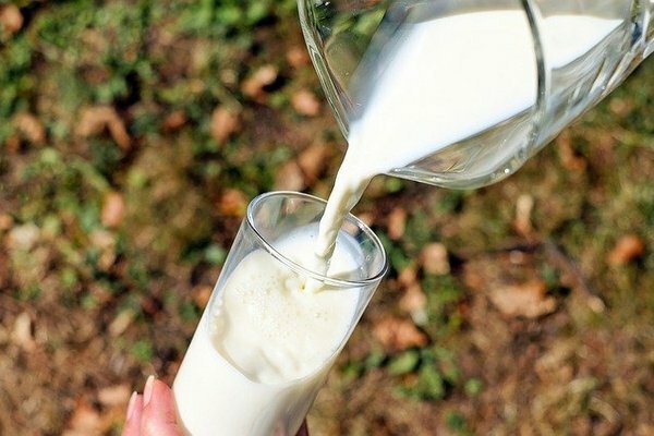 Men hvis du føler ubehagelige fornemmelser i maven eller tarmene efter et glas mælk, er det bedre at nægte det til fordel for gærede mejeriprodukter (Foto: Pixabay.com)