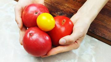 Hvordan jeg opbevarer tomater hele vinteren uden en fryser for at holde dem friske i smag og udseende