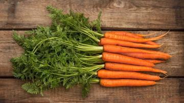 Freeze gulerødder til vinteren med alle de regler