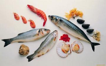 Hvordan til at lave mad skaldyr og saltvandsfisk?