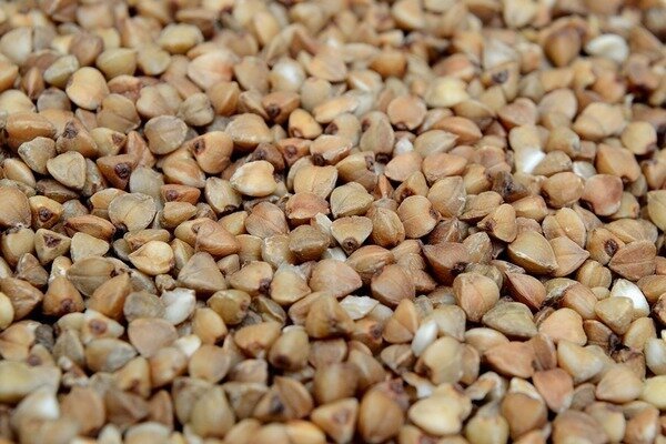 En af de sundeste kornprodukter er boghvede (Foto: Pixabay.com)