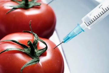10 GMO-fødevarer vi spiser og ikke engang kender