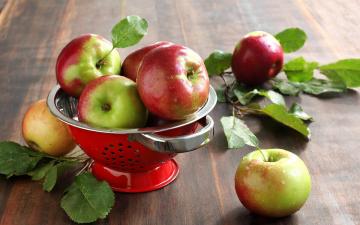 Hvilke æbler bliver behandlet?