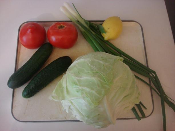 Billede taget af forfatteren (de vigtigste ingredienser af vegetabilsk salat)